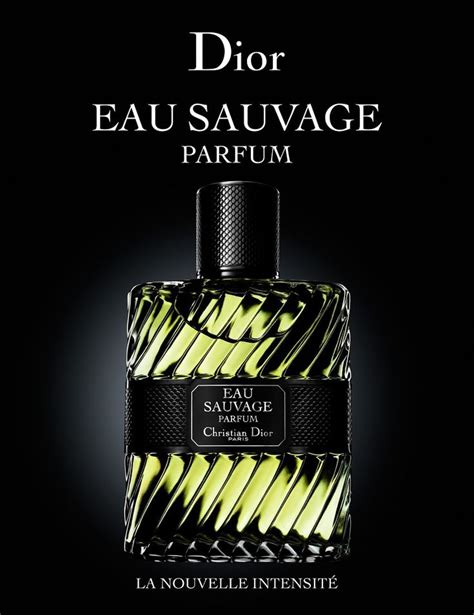 dior sauvage bei rossmann|françois demachy dior.